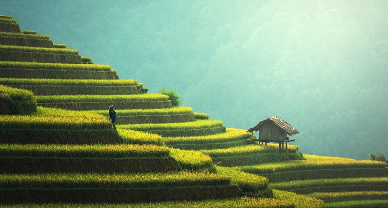 Sustainable Projects